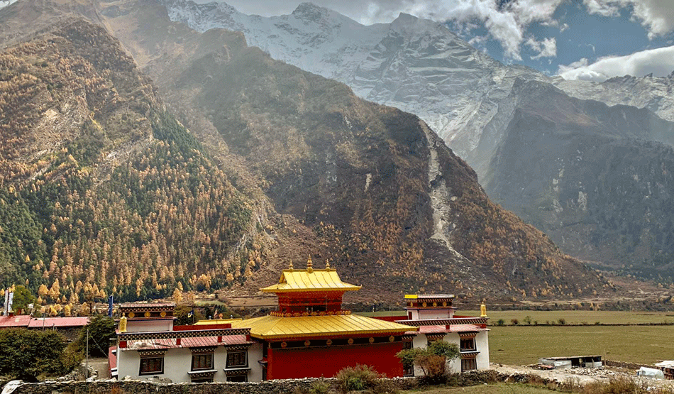 The gilded roof of a Nubri monastery catching late afternoon light