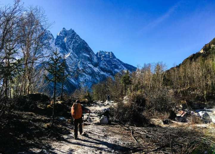 A trekker walking a forest trail in the lower valley